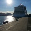 viking sea  viking sky 4